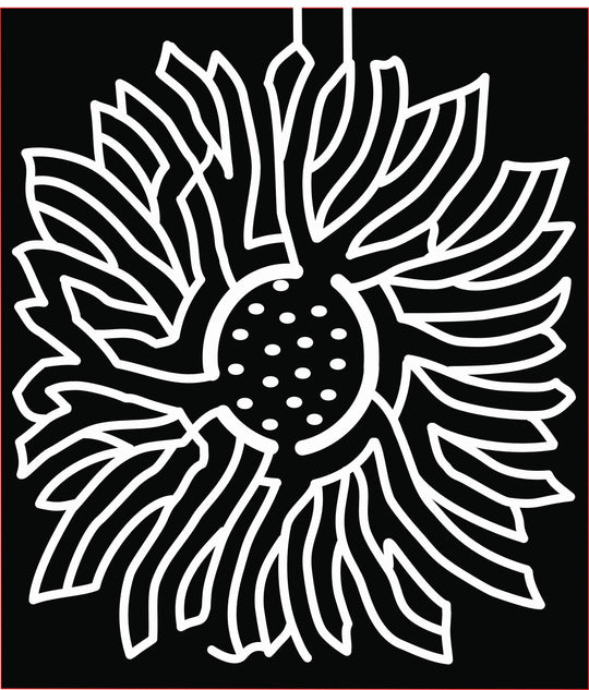 20_IN_Hobart, sunflower, flower, plant.jpg