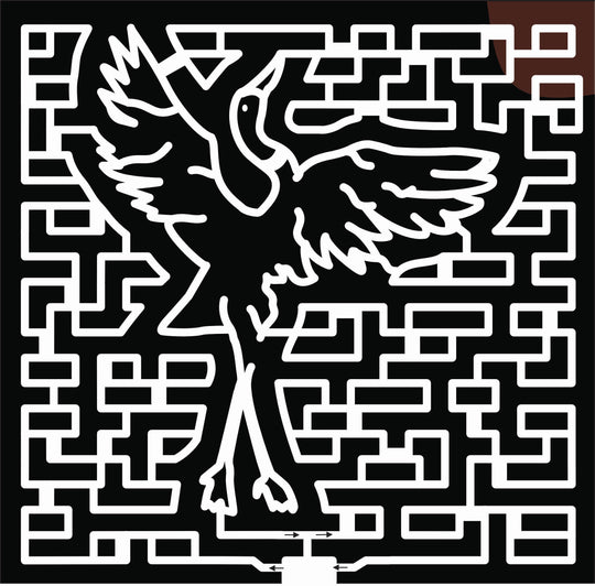 20_MN_Savage, bird, swan, animal.jpg