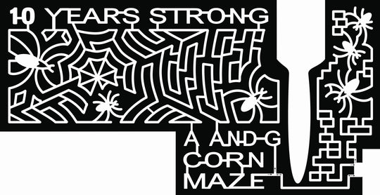 20_MN_St. Joseph, spider, bugs, bug, web, halloween.jpg