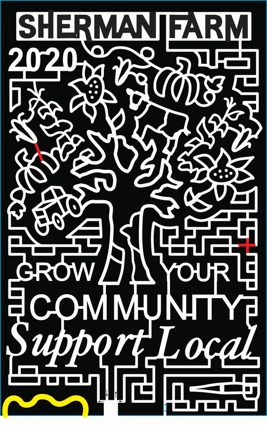 20_NH_Center Conway, tree, sunflower, flower, pumpkin, tractor, corn, cornstalk, cow.jpg