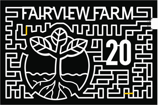 20_NY Bridgehampton, tree, root, plant.jpg