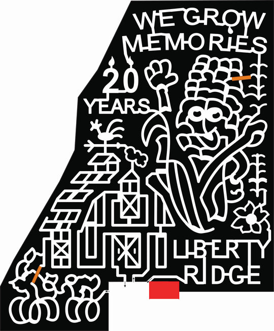 20_NY_Schaghticoke, corn, 20 years, celebrating, bar, pumpkin, corn, flower, memories.jpg