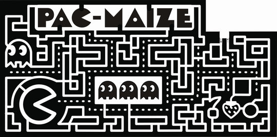 20_OH_Hebron, pacman, game, board.jpg