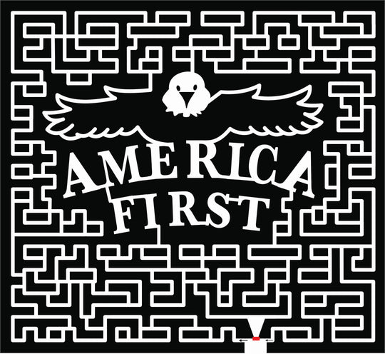 20_OH_Napoleon, america, eagle, bird.jpg