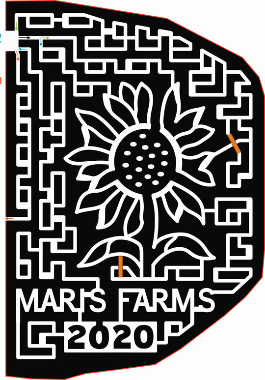 20_WA_Buckley, flower, sunflower.jpg