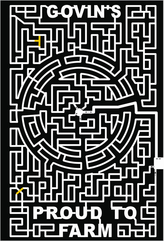 20_WI_Menomonie, maze, maze runner, labyrinth.jpg