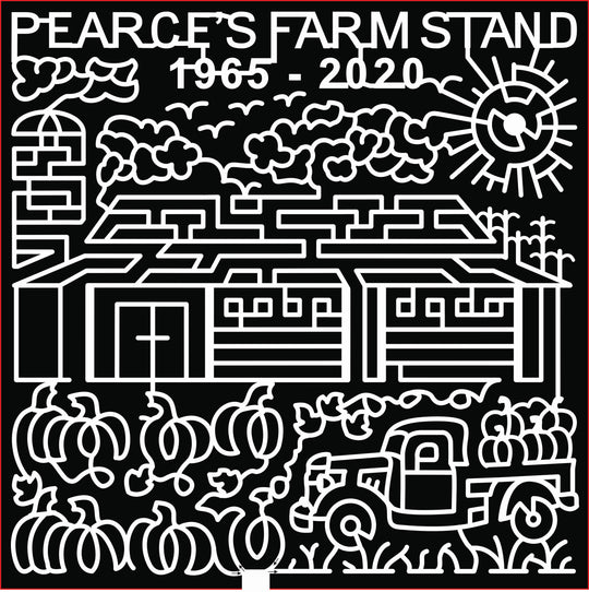 20_WI_Walworth, farm, barn, sun, clouds, pumpkin, pumpkin patch, truck, grass, bird.jpg