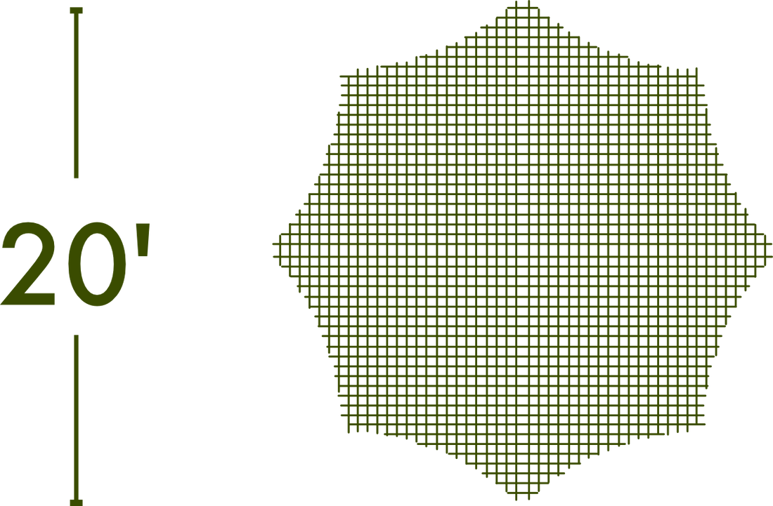 Spider Web - The MAiZE