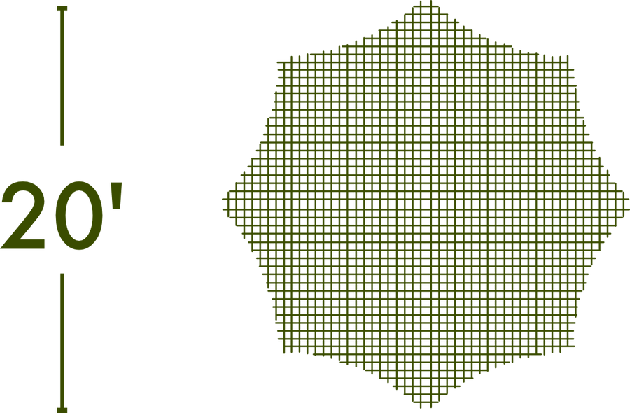 Spider Web - The MAiZE