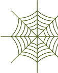 Spider Web - The MAiZE
