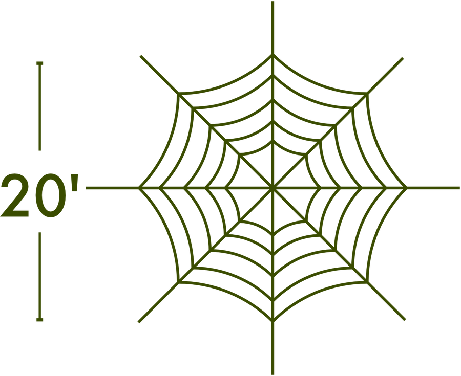 Spider Web - The MAiZE