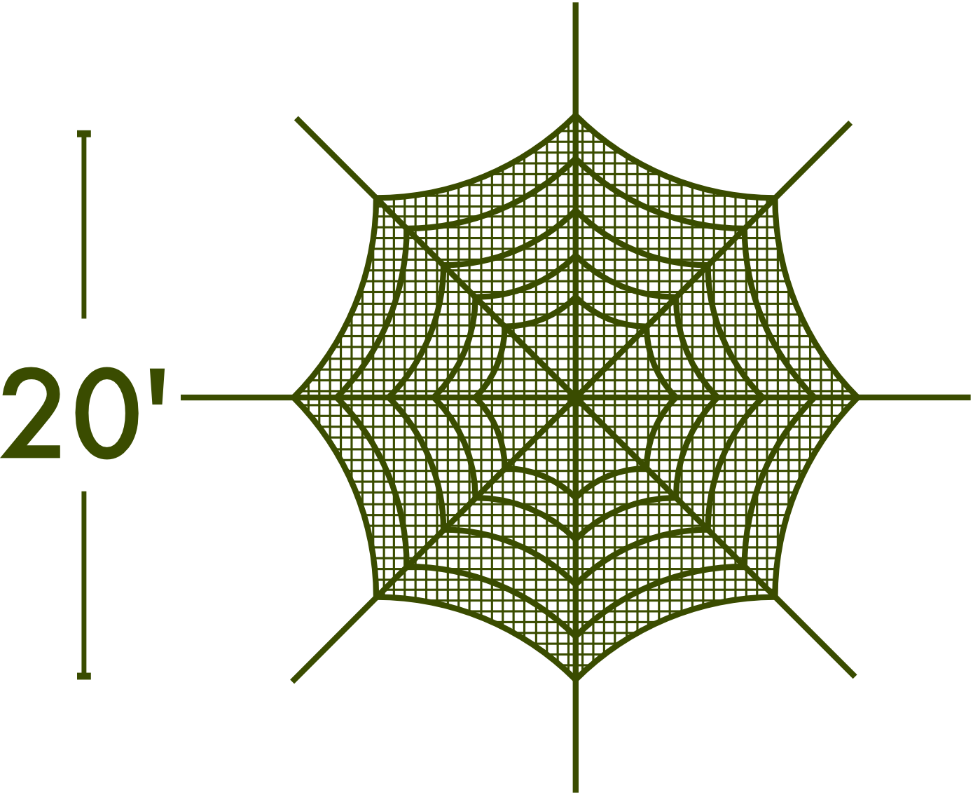 Spider Web - The MAiZE