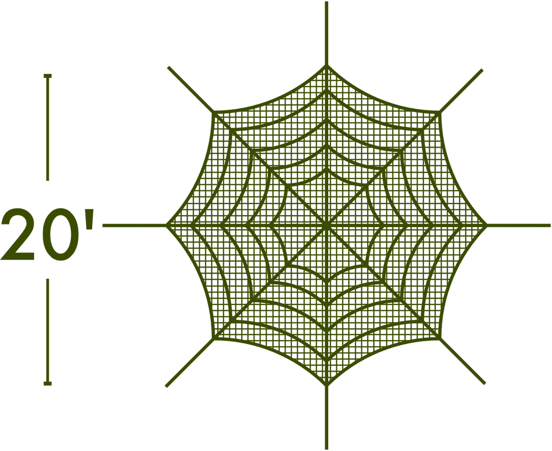 Spider Web - The MAiZE