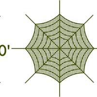 Spider Web - The MAiZE