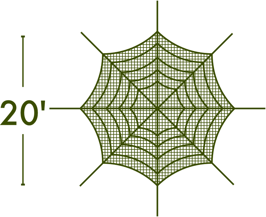 Spider Web - The MAiZE