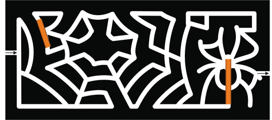 21_CA_San Luis Obispo spider web spiderweb