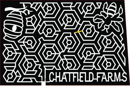 21_CO_Littleton bee honeycomb comb