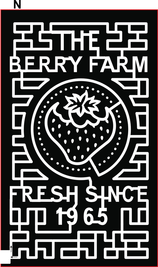 21_FL_Miami strawberry