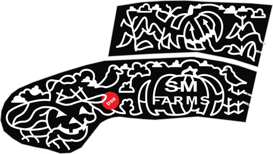 21_GA_Cleveland pumpkin jack o lantern corn bird stalk