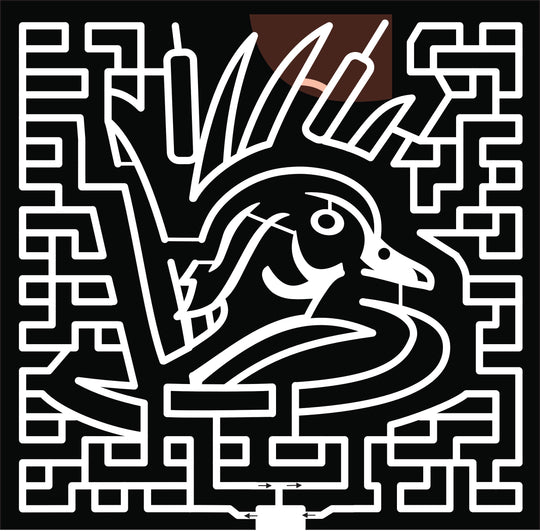 21_MN_Savage duck pond cattail animal