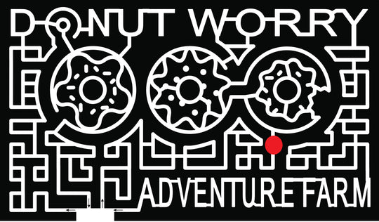 21_MO_Verona donut sprinkle sweet