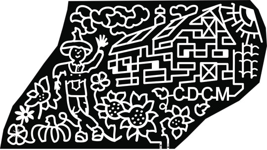 21_NC_Charlotte scarecrow sun barn flower sunflower cloud