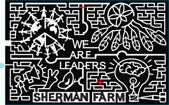 21_NH_Center Conway dream catcher light bulb cloud person globe people butterly