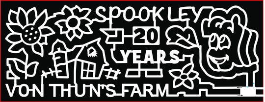 21_NJ_Monmouth spookley pumpkin flower