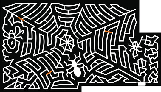 21_NY_Newark_Valley spider spiderweb web