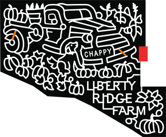 21_NY_Schaghticoke truck pumpkins flower corn stalk cob dog