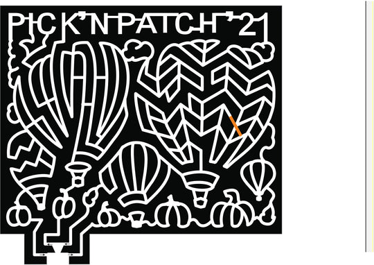 21_NY_Stanley hot air balloon pumpkin cloud