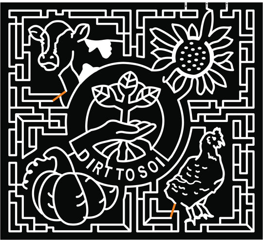 21_TX_Lubbock sunflower flower chicken cow plant hand pumpkin