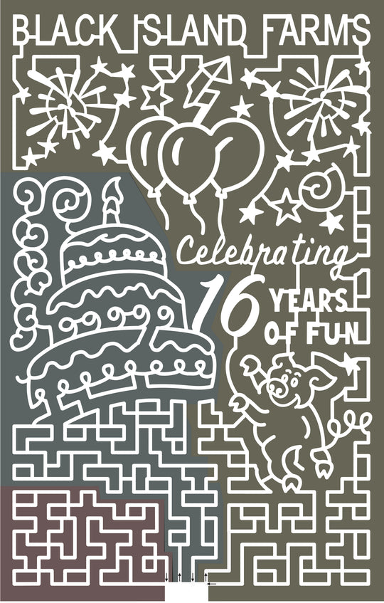 21_UT_Layton birthday cake firework balloon