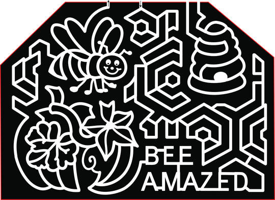 21_VA_Buffalo Junction bee amazed comb flower