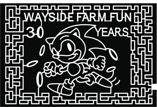 21_VA_Hamilton sonic hedgehog cartoon game rings