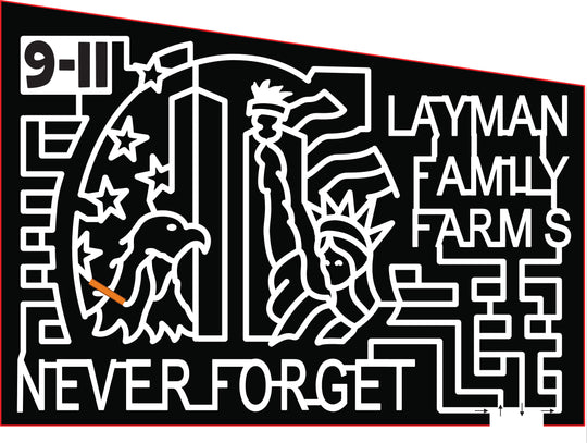 21_VA_Roanoke 9-11 9/11 statue liberty