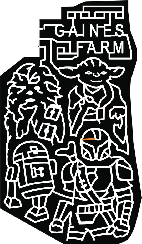 21_VT_Guilford star wars yoda chewbacca r2d2 disney