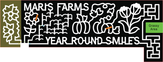 21_WA_Buckley flower pumpkin