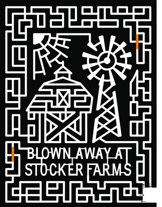 21_WA_Snohimish barn windmill sun