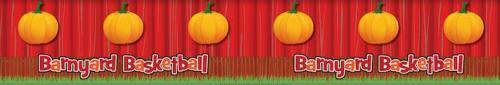 Barnyard Ball Zone Banner - One Individual - 24 feet