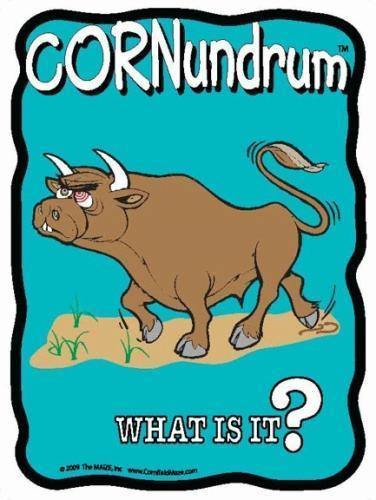 Bulls Eye Cornundrum - The MAiZE