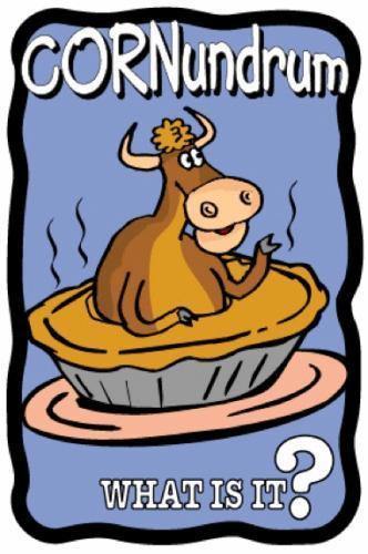 Cow Pie Cornundrum - The MAiZE
