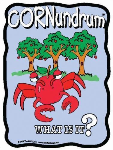 Crab Apple Cornundrum