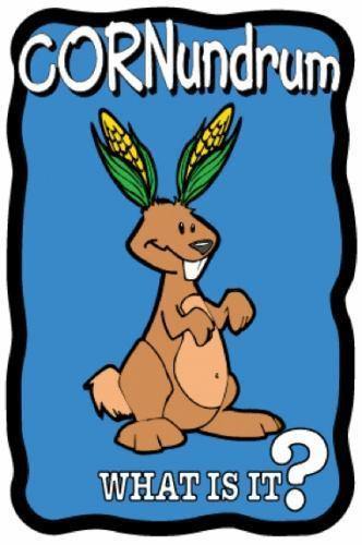 Ears of Corn Cornundrum