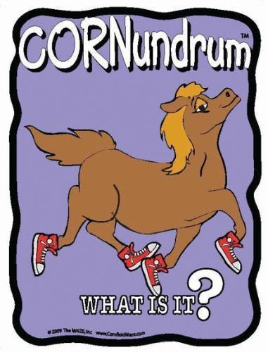 Horse Shoes Cornundrum