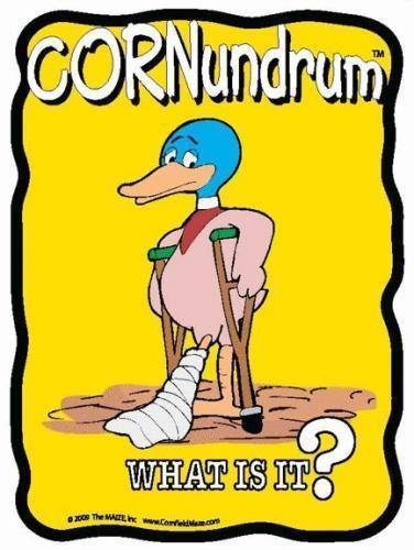 Lame Duck Cornundrum - The MAiZE
