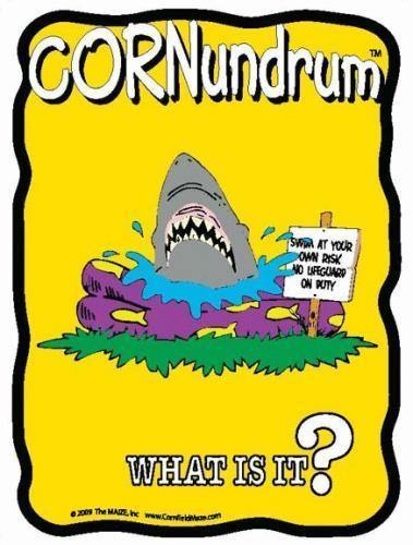 Pool Shark Cornundrum - The MAiZE