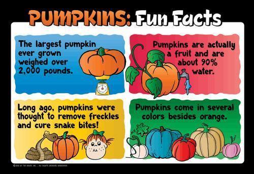 Pumpkin Education Sign - Fun Facts - The MAiZE