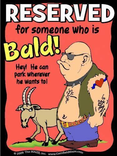 Bald #1 Parking Sign