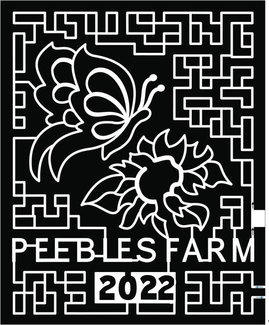 22_AR_Augusta Butterfly Sunflower Flower Paths